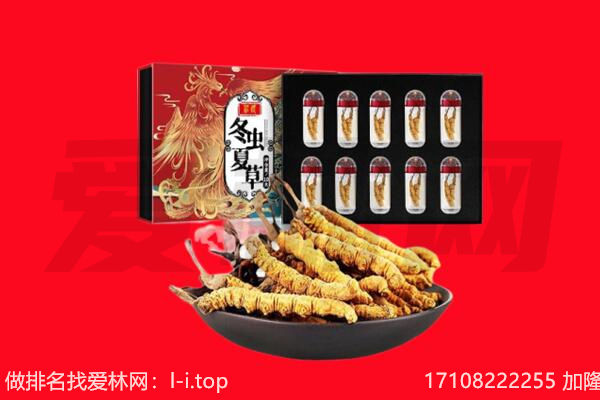 忻州市回收虫草.jpg